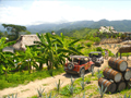Puerto Vallarta